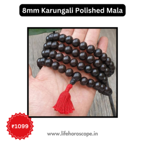 8mm Karungali Unpolished Mala | Life Horoscope