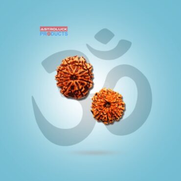 rudraksha