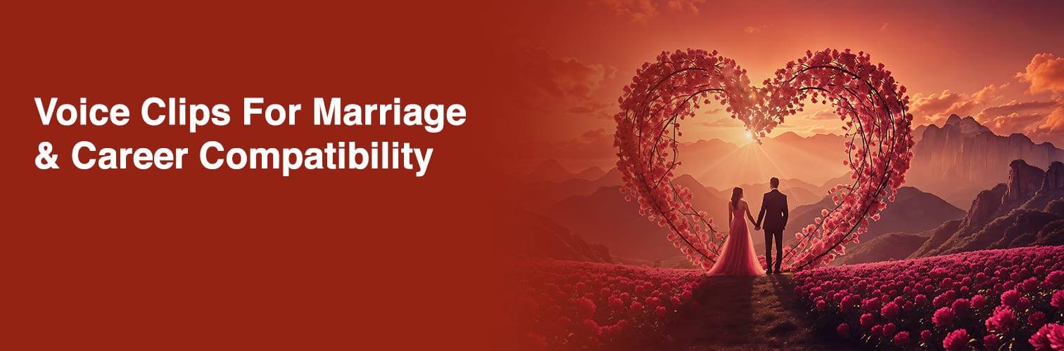 Marriage-Career-Compatibility